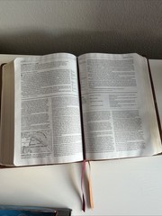 Life Application Study Bible NIV Large Print 2011 Italian Duo Tone Leather