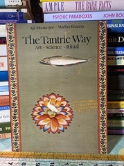 The Tantric Way: Art, Science, Ritual – Ajit Mookerjee & Madhu Khanna. 1977