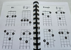 2004 MANDOLIN CHORDS Gig Bag Series 1100+ CHORD DIAGRAMS Music BLUEGRASS Amsco