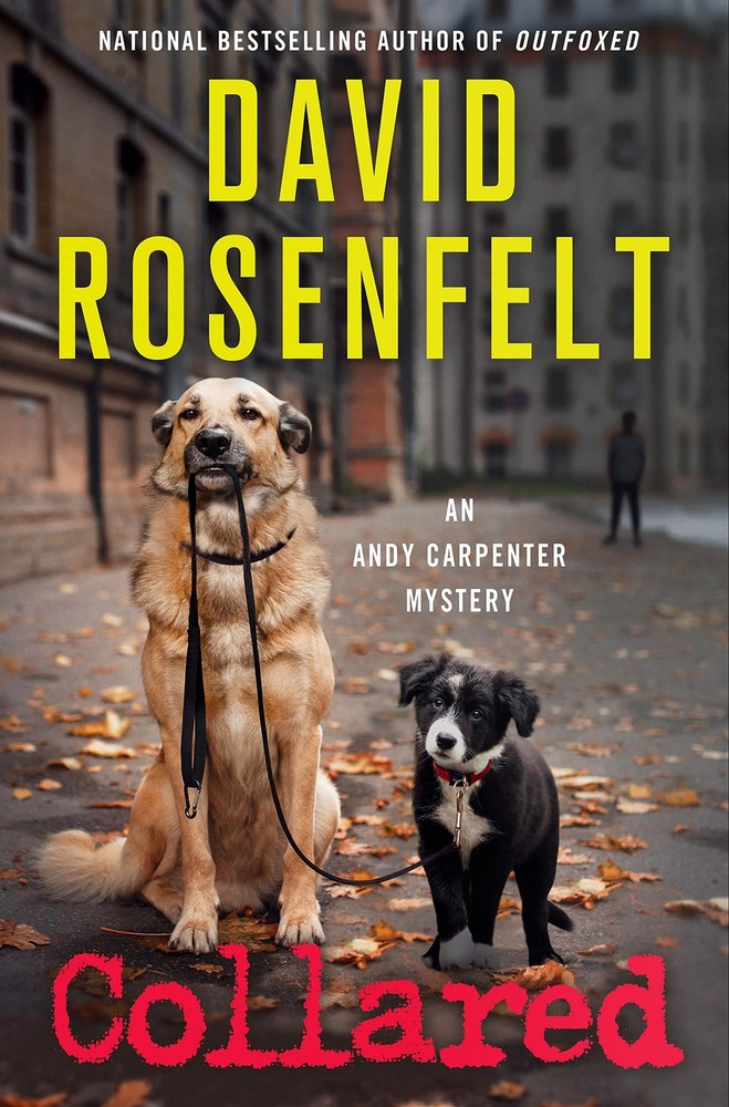 Collared: An Andy Carpenter Mystery (An Andy Carpenter Novel, 15)