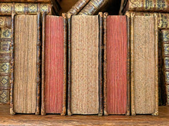ANTIQUE BOOK IN LATIN from 1700s – Historical Collectible Text from 18th Century