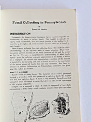 Fossil Collecting in Pennsylvania by Donald M. Hoskins 4th Printing 1976 w/ Map
