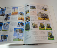 All About Techniques in Oil by Parramon 1997 Hardcover BES Publishing