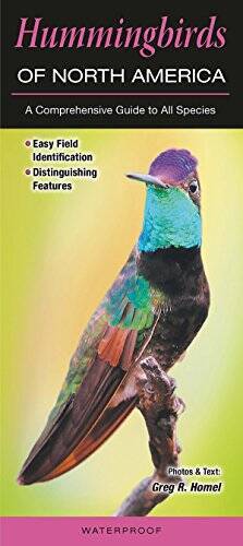 Hummingbirds of North America: A Comprehensive Guide to All Species – GOOD