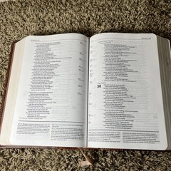 Life Application Study Bible NIV Large Print 2011 Italian Duo Tone Leather