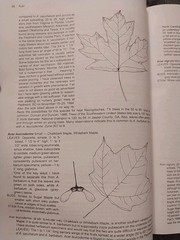 Manual of Woody Landscape Plants: Identification Ornamental Characteristics 5TH