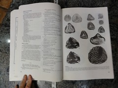 Brazil 1985 Collection of Paleontological Works in Portuguese Many Fossil Photos
