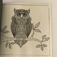 Coloring Book For Adults For Mindful People Stress Relieving Designs Volume 2 NW