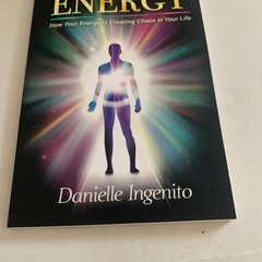 It’s Not You, It’s Your Energy Danielle Ingenito Paperback Book NEW