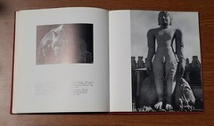 Illustrated Book Ritual Art Of India Nature Sivaism Vishnuism Saktism Syncretism