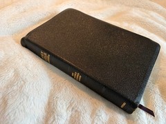1967 NEW SCOFIELD REFERENCE BIBLE/Black Morocco Leather