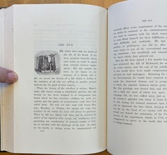 Life of David Bell Birney, Major-General United States Volunteers 1867/1987Rprnt