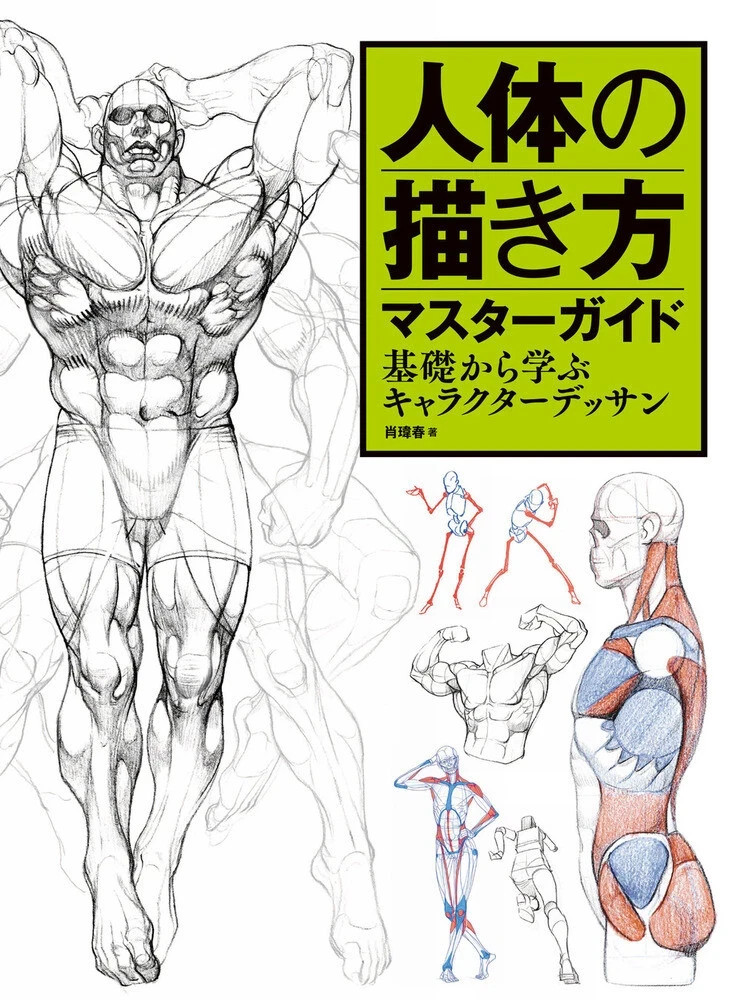 Master Guide of How to Draw Human Body Character Drawing – The Basics Book JPN