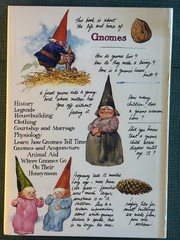 Gnomes by Poortvliet Huygen 1977 1st Edition HCDJ Hardcover DJ Vintage 70s Retro