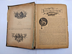 The Savage World A Complete Natural History J.W. Buel (1891, HC) 1st Eds Book