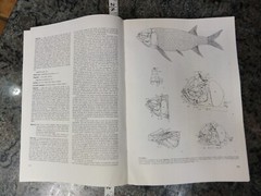 Brazil 1985 Collection of Paleontological Works in Portuguese Many Fossil Photos
