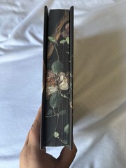 Shield of Sparrows Deluxe Edition Sprayed Edges Devney Perry Romantasy
