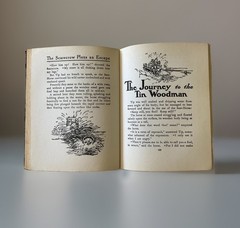 The Land of Oz Hardcover Book L Frank Baum 1939 Reilly Lee Popular Edition VTG