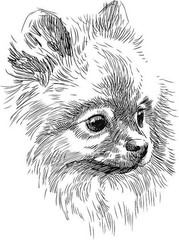 Dogs coloring book for all ages Pets Series 108 Pages 8.5 x 11 for All Ages