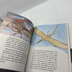 Dinosaur Hardcover Books 1991 Janet Riehecky The Child’s World Series 18 Books