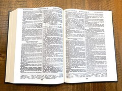 Italian Language Bible, Sacra Bibbia, Reformation-era Diodati, Hardcover