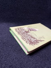 The Eagle Dorothy Hamilton 1974 Herald Press SIGNED Christian Fiction Hardcover