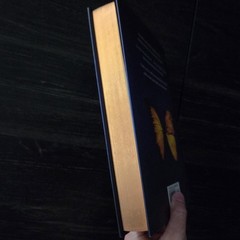 Metal Slinger Rachel Schneider 1st Edition HC Sprayed Edges Fire & Metal Fantasy