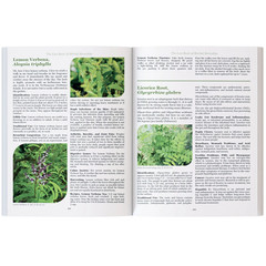 The Lost Book of Herbal Remedies-Paperback with Color Pictures