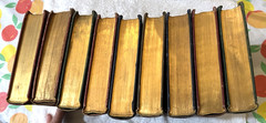 9 JOURNEYS THROUGH BOOKLAND Sylvestre Bellows-Reeve 1922 Guide 1-4 6-9 & Guide