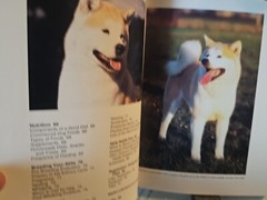Akitas A Complete Pet Owners Manual Paperback 1997 By Dan Rice Photos & Illus.