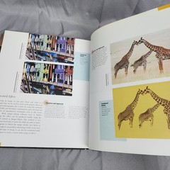 Masterclass In Photography by Michael and Julian Busselle Hardcover
