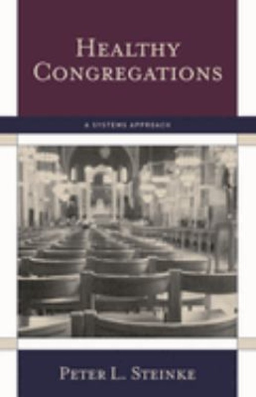 Healthy Congregations : A Systems Approach Paperback Peter L. Ste