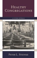 Healthy Congregations : A Systems Approach Paperback Peter L. Ste