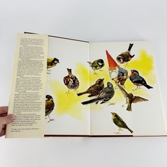 Gnomes by Poortvliet Huygen 1977 HCDJ Hardcover DJ Vintage 70s Coffee Table Book