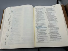 ESV Journaling Bible Interleaved Edition Natural Leather Brown – Some Writing
