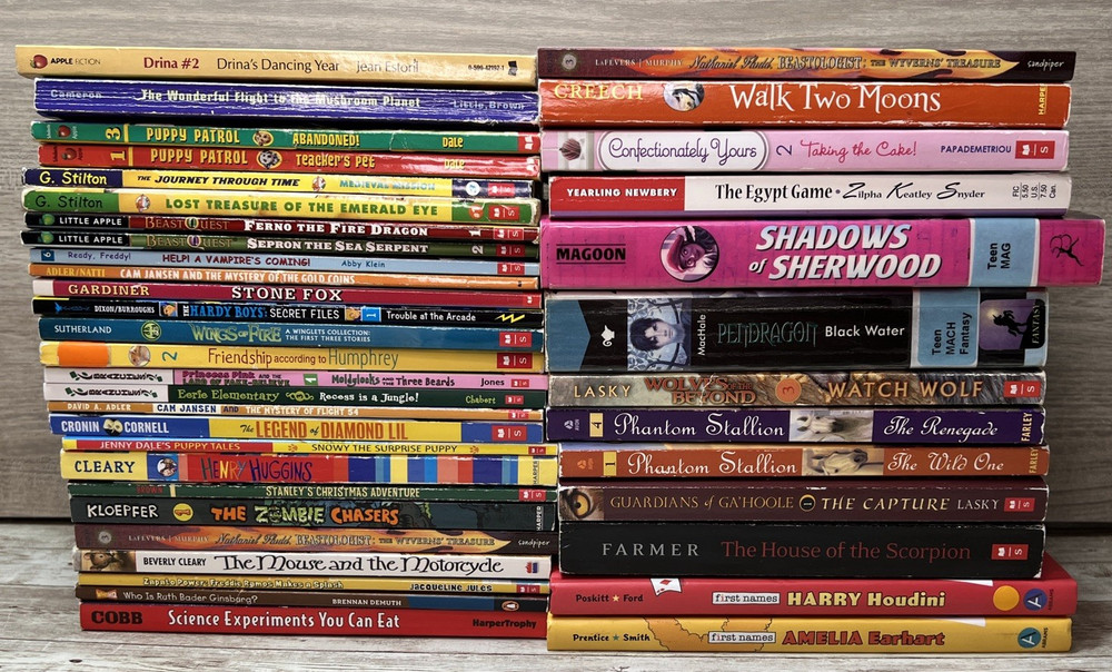 Lot of 39 Grade 3-6 Chapter Books Novels 15lbs / G. Stilton, Beverly Cleary etc.