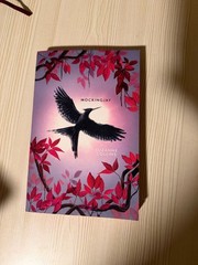 The Hunger Games Trilogy Deluxe Edition Paperback Box Set