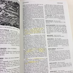 Eerdmans Dictionary of the Bible by David Noel Freedman 2000 Paperback READ DESC