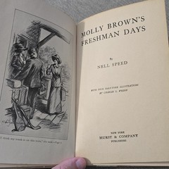 Molly Brown’s Freshman Days Nell Speed Hardcover 1912 Hurst Illustrated