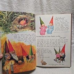 GNOMES Book By Wil Huygen & Illustrated Rien Poortvliet (1977 H.N Abrams Inc. HC
