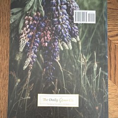 The Daily Grace Co. By Faith Galatians Study Guide Glenna Marshall PB 2019