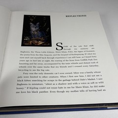 Vavras Cats Robert Vavra Photography Signed 1986 1st Ed Hardcover DJ