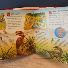 Amazing Questions & Answers Book, 512 Colorful Pages of Amazing Facts, 2004 EUC