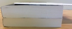 Ted Dekker ~ Bride Collector + Priest’s Graveyard ~ Advance Reading Copy ~ RARE