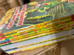 Geronimo Stilton 10 Books Collection
