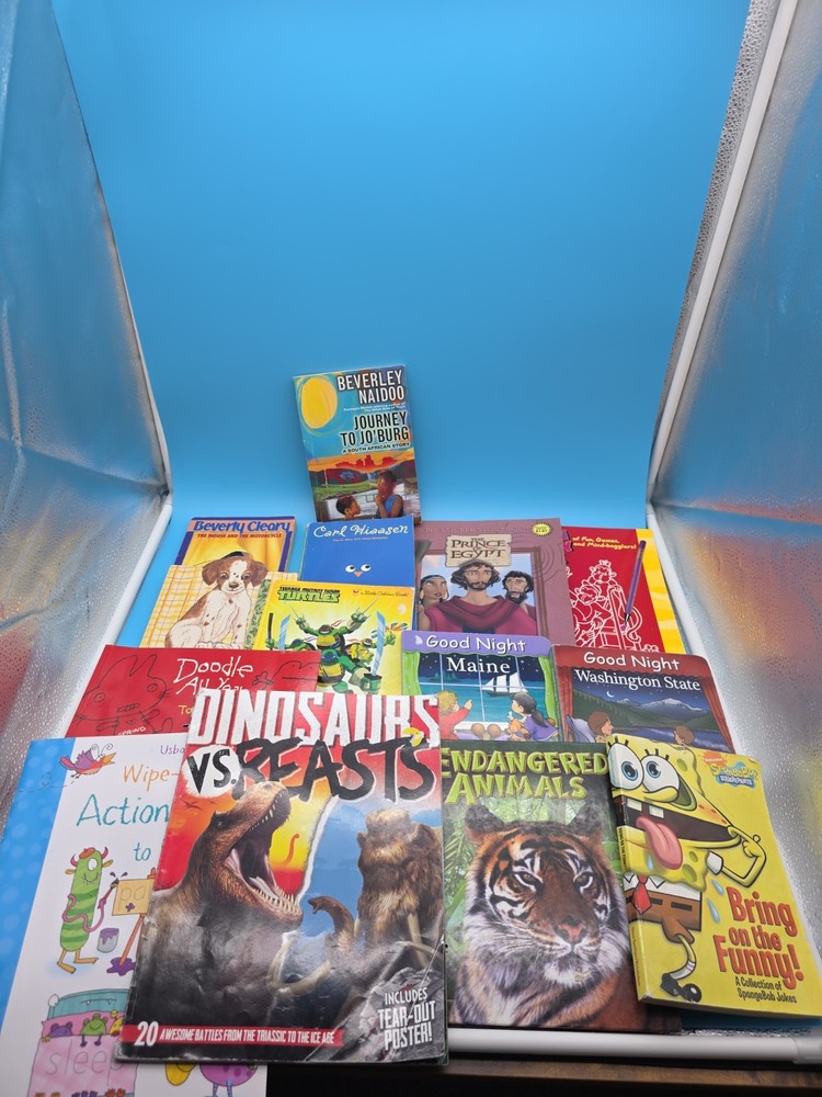 lot of 15 children’s Mixed books