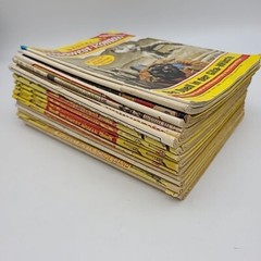 19 BASTEI Wildwest-Roman Western Pulp Fiction German Booklets Books 1960-70’s