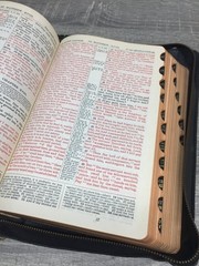 Holy Bible Self-Pronouncing S.S. Teachers Red Letter 1926 National Bible Press