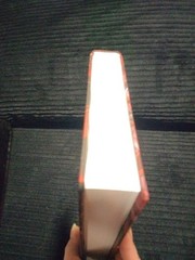 Devney Perry Shield of Sparrows & Rites of Starling Hardcover Probably Smutt