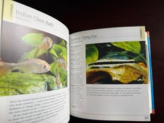 500 Freshwater Aquarium Fish: A Visual Reference Most Popular Species HC NICE!